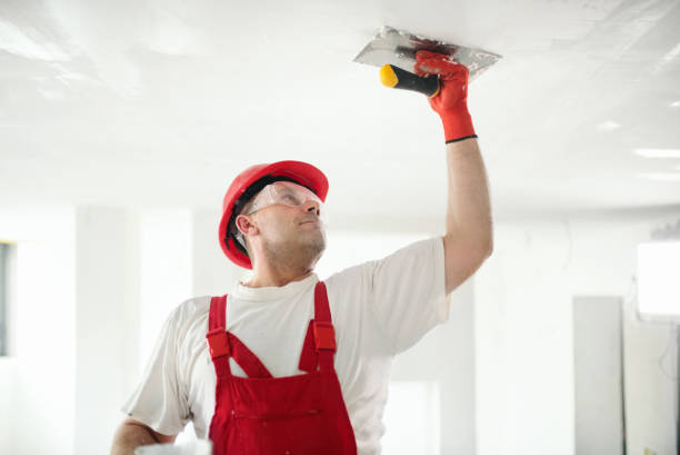 Best Mold-Related Health Consultation  in Bangor Base, WA